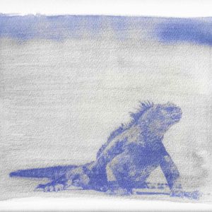 Iguana en pétalos