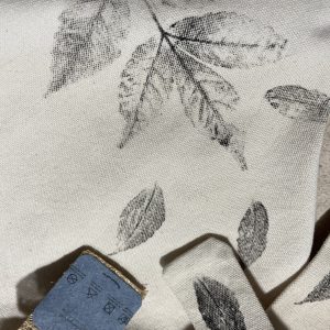 Hoja Santa